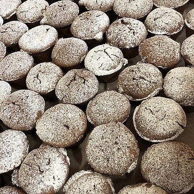 Mit Lupinenmehl gebackene Brownies konnten am Getreidetechnologietag verkostet werden