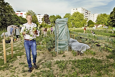 Christian Stadler Geschäftsführer der Morgentau Biogemüse GmbH steht in einem seiner Morgentaugärten