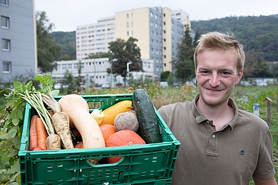 Zufriedener MORGENTAU Gärtner in Linz Auhof/Mengerstraße mit Obst- und Gemüsekiste in der Hand © MORGENTAU