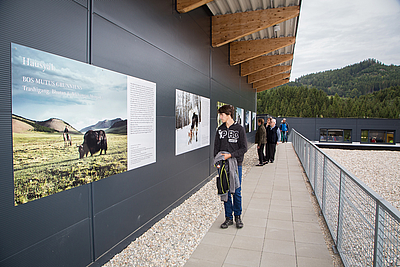 Sonnberg Biofleisch baut seine Produktionskapazität in Unterweißenbach im Mühlviertel aus © Gutenthaler Photography