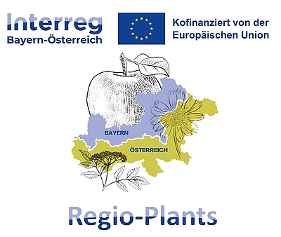 Logo INTERREG Bayern-Österreich Projekt Regio-Plants