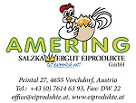 AMERING Salzkammergut Eiprodukte GmbH Logo